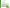 Heets Green Zing